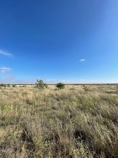 FM 2279 Rule, TX 79521
