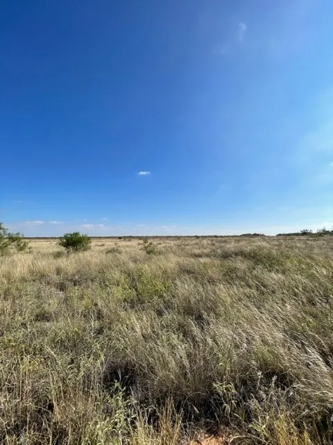FM 2279 Rule, TX 79521