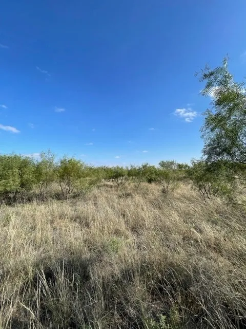 FM 2279 Rule, TX 79521