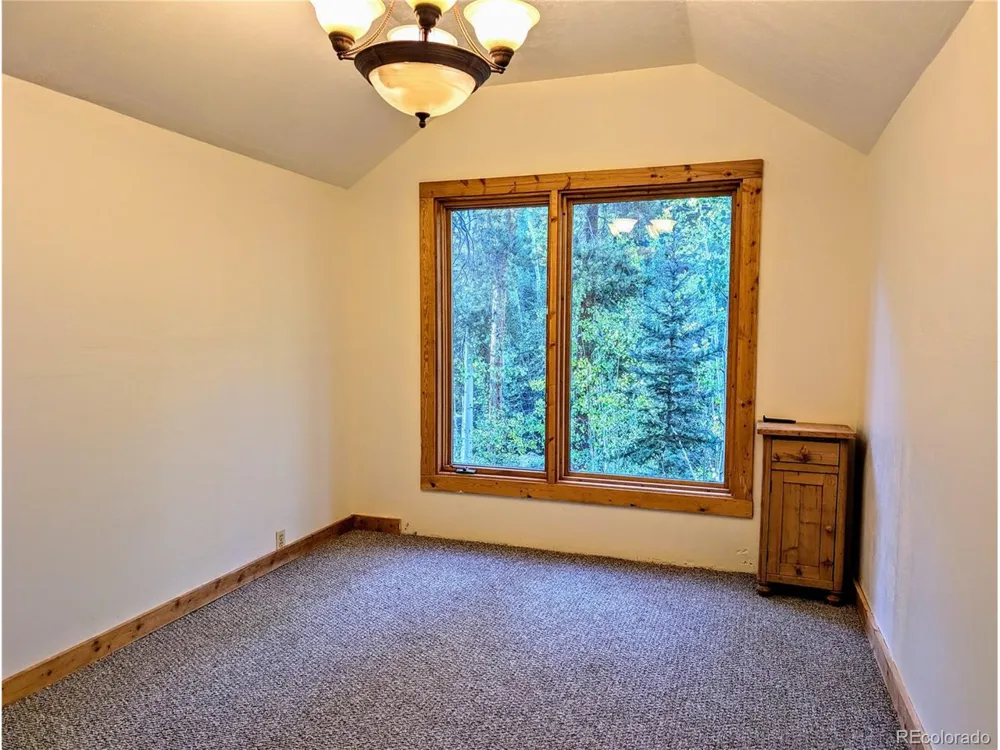 23795 County Road 162 Nathrop, CO 81236