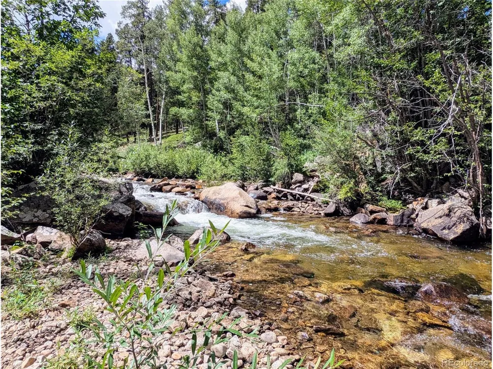 23795 County Road 162 Nathrop, CO 81236
