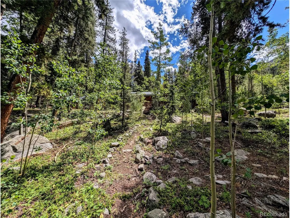 23795 County Road 162 Nathrop, CO 81236