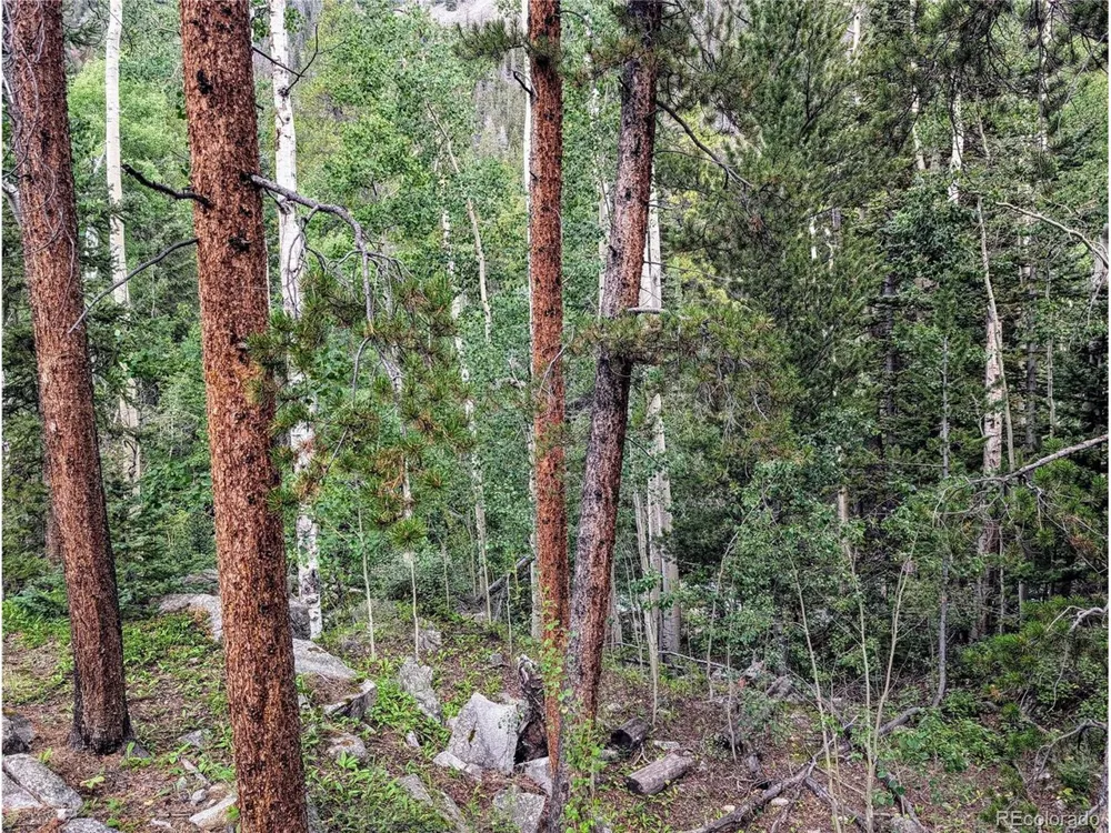 23795 County Road 162 Nathrop, CO 81236