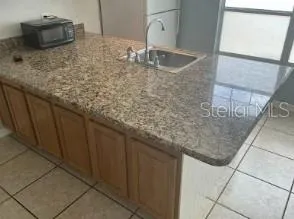 133 MANGO DRIVE Davenport, FL 33897