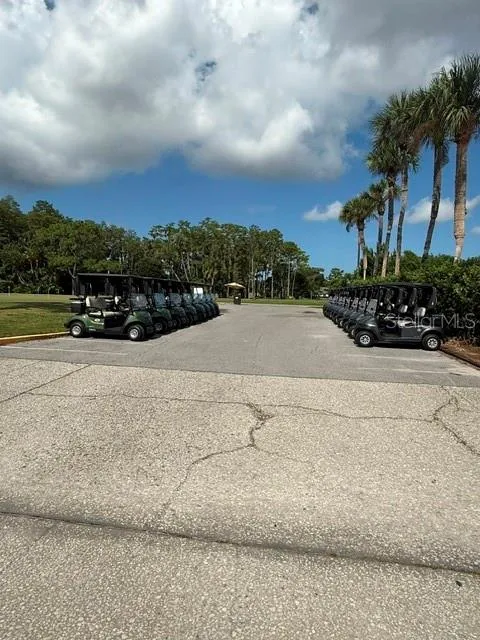 3444 TROPHY BOULEVARD New Port Richey, FL 34655