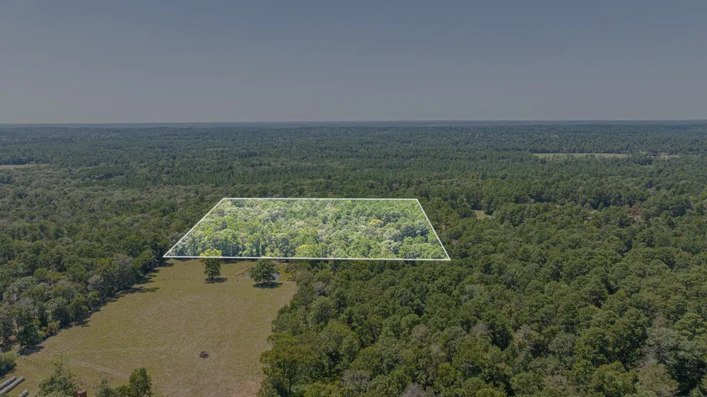 1400 Hill Road Willis, TX 77378