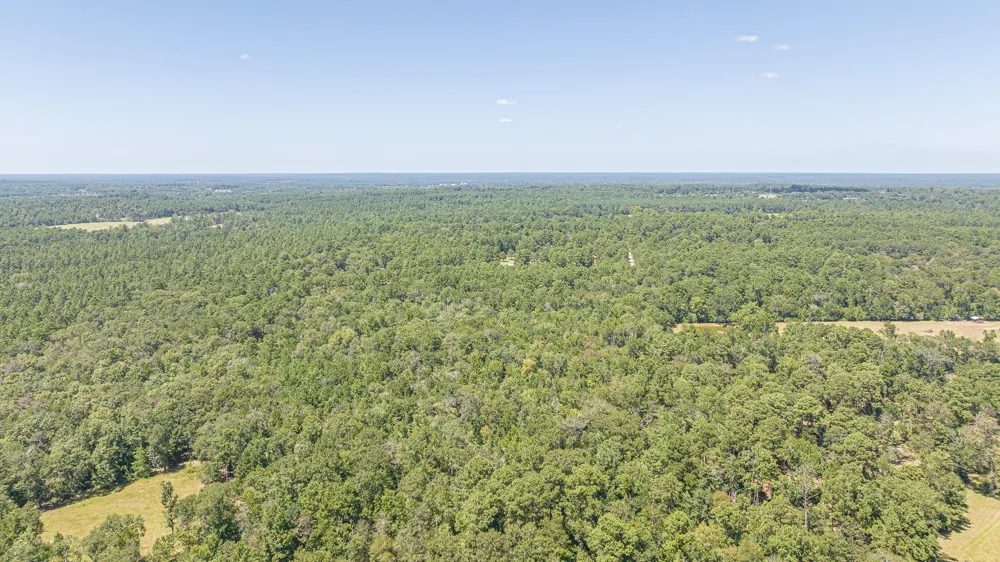 1400 Hill Road Willis, TX 77378