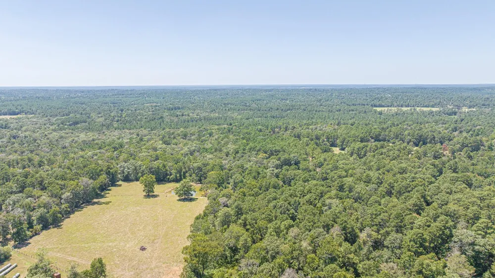 1400 Hill Road Willis, TX 77378