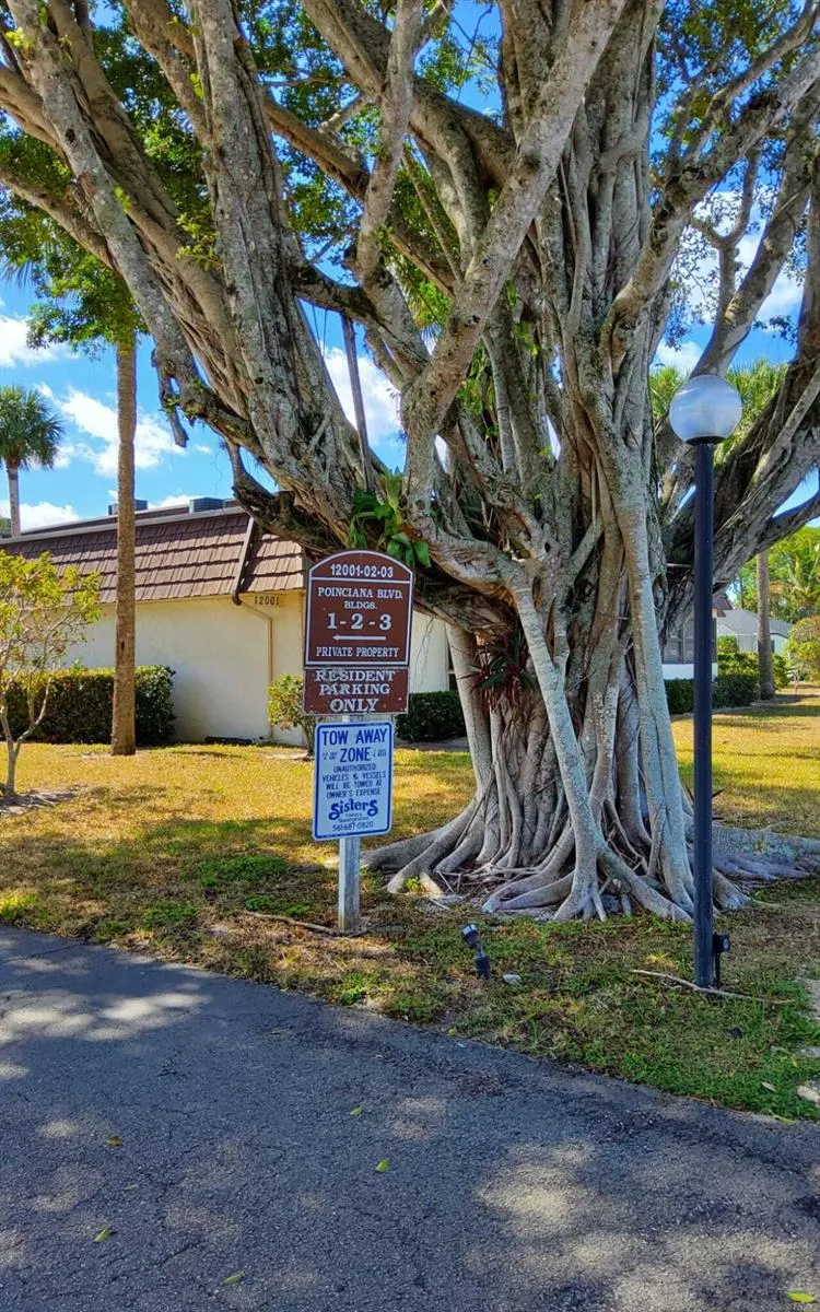 12003 Poinciana Boulevard #204 Royal Palm Beach, FL 33411