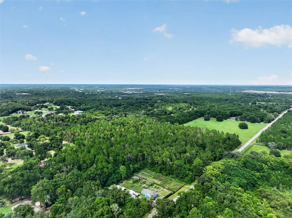 DUDLEY AVENUE Mount Dora, FL 32757