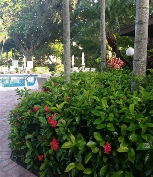3100 COURSE LANE #210 Pompano Beach, FL 33069