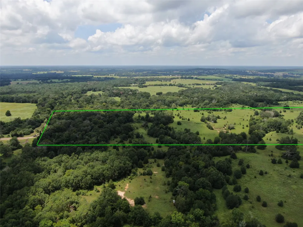 1 Cr 411 Buffalo, TX 75831