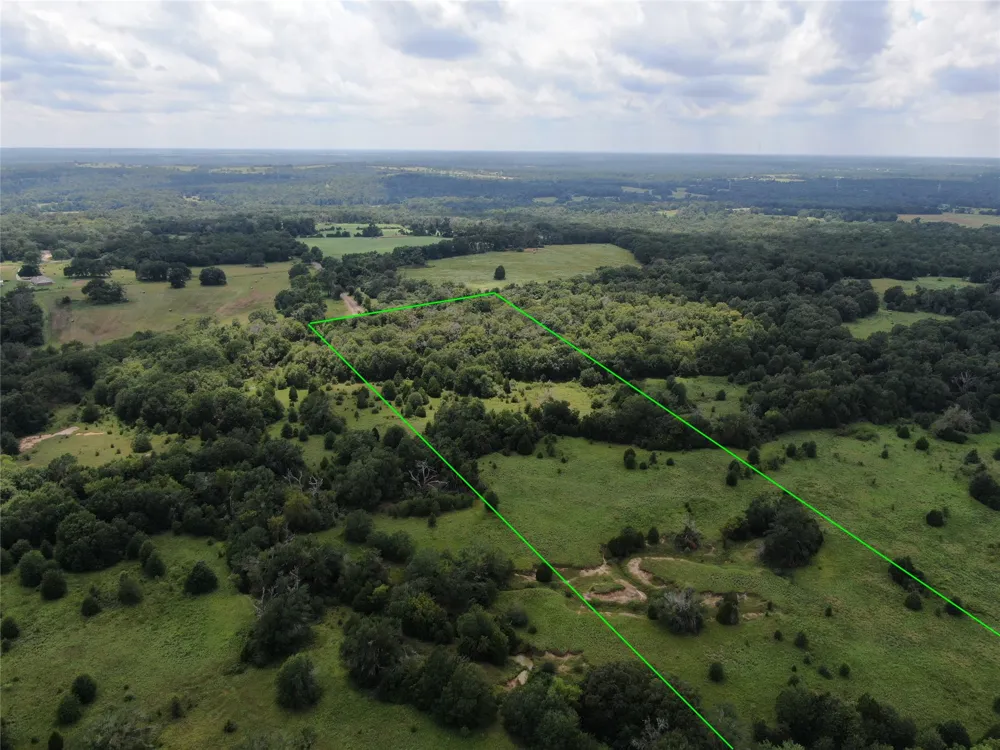 1 Cr 411 Buffalo, TX 75831