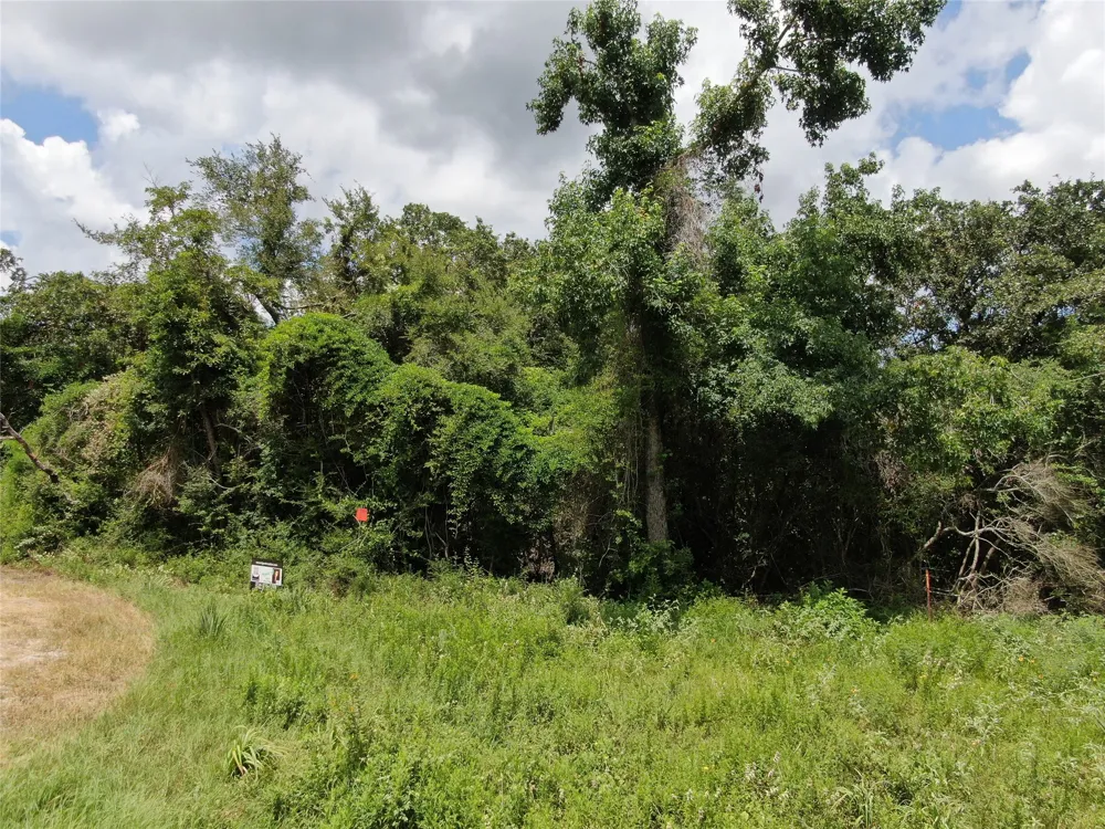 1 Cr 411 Buffalo, TX 75831