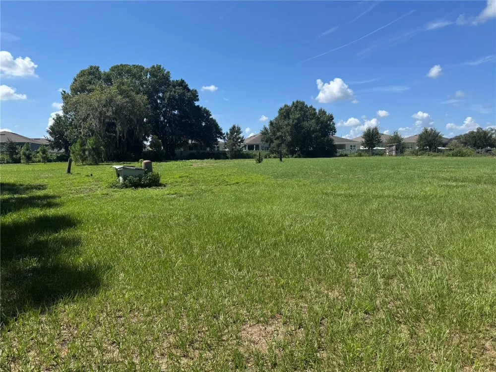 29244 SANIBEL DRIVE Wesley Chapel, FL 33544