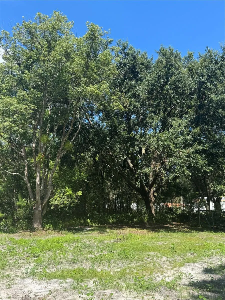 29244 SANIBEL DRIVE Wesley Chapel, FL 33544