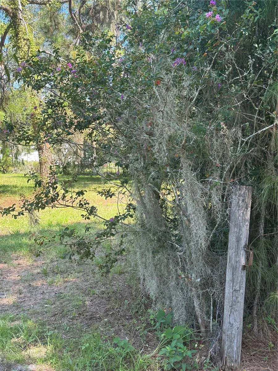 29244 SANIBEL DRIVE Wesley Chapel, FL 33544