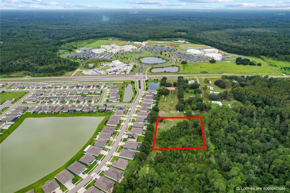29244 SANIBEL DRIVE Wesley Chapel, FL 33544