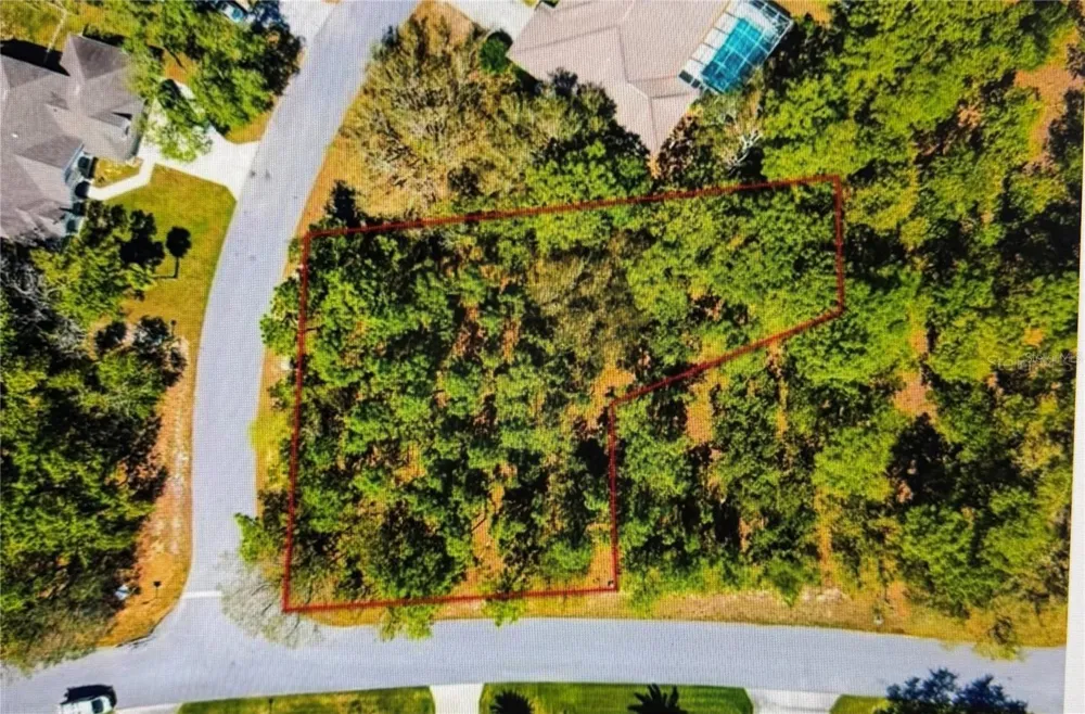 10 BONNIE DRIVE Homosassa, FL 34446