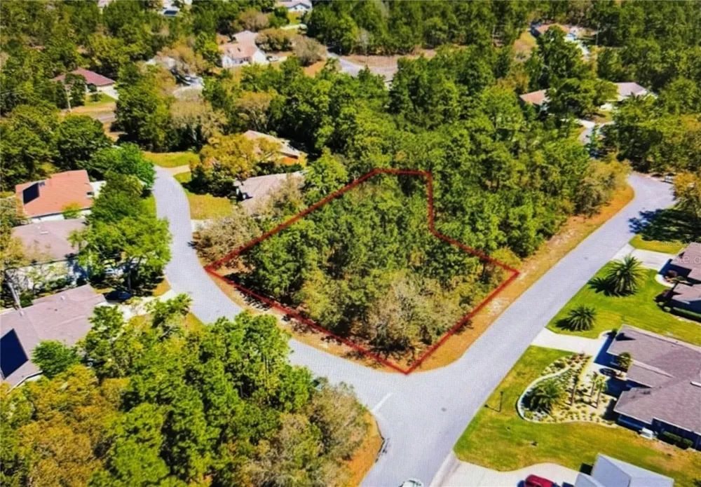 10 BONNIE DRIVE Homosassa, FL 34446