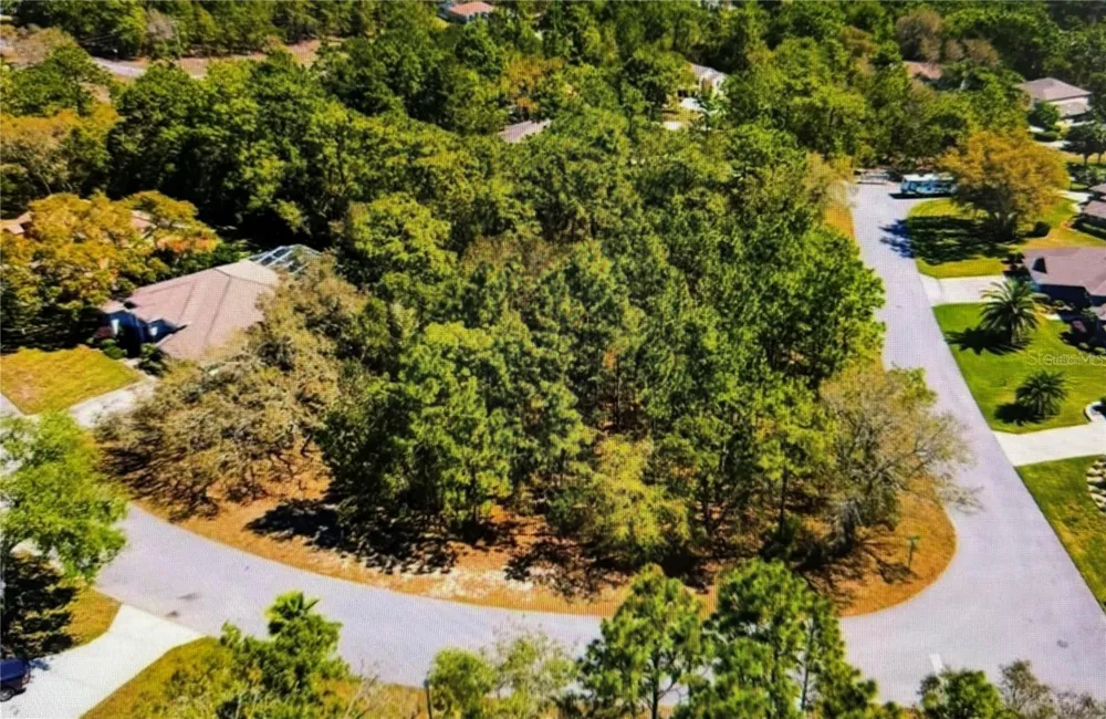 10 BONNIE DRIVE Homosassa, FL 34446