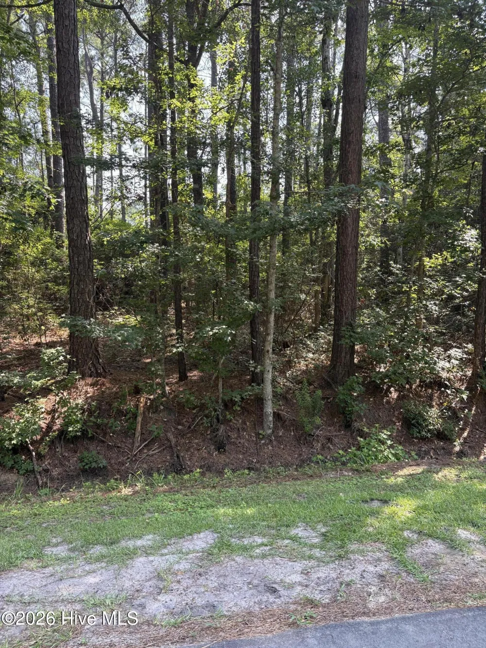 13 Myrtlewood Drive SW Calabash, NC 28467
