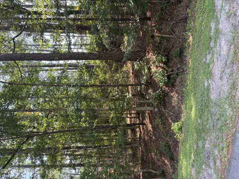 13 Myrtlewood Drive SW