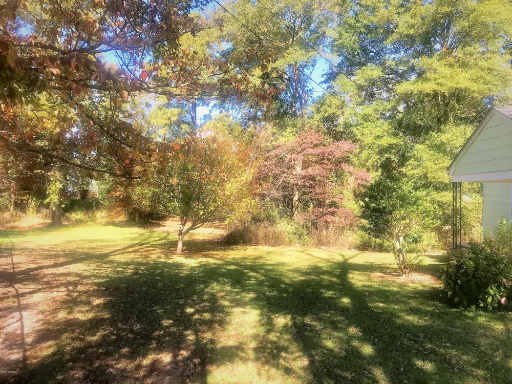 203 Willow Road Clinton, NC 28328