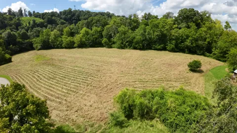 0 Chapman St