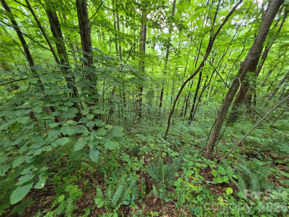 Lot 17 Cocker Spaniel Court #17 Whittier, NC 28789