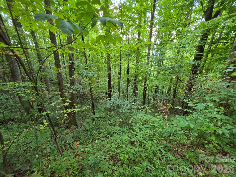 Lot 17 Cocker Spaniel Court #17 Whittier, NC 28789