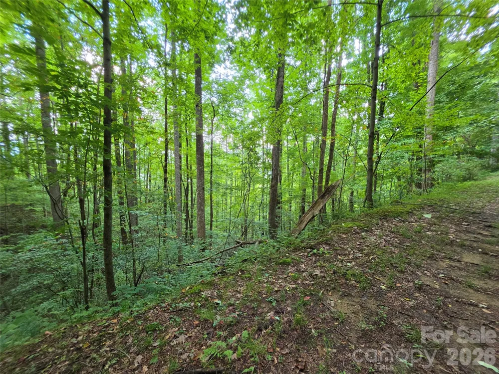 Lot 17 Cocker Spaniel Court #17 Whittier, NC 28789