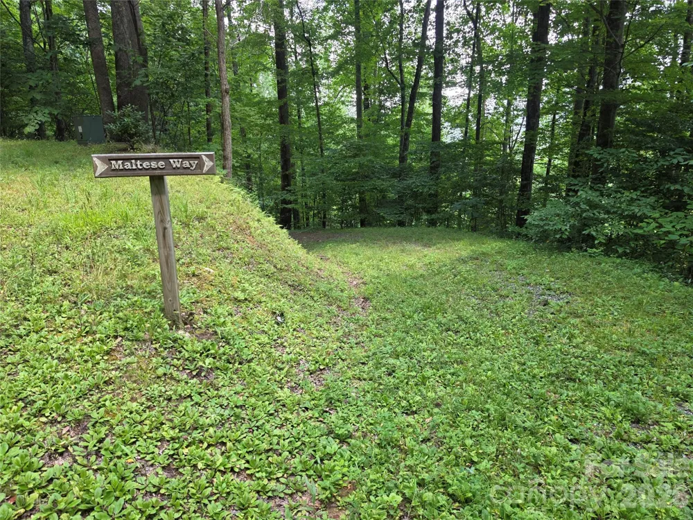 Lot 17 Cocker Spaniel Court #17 Whittier, NC 28789