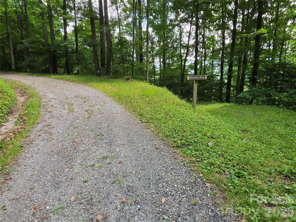 Lot 17 Cocker Spaniel Court #17 Whittier, NC 28789