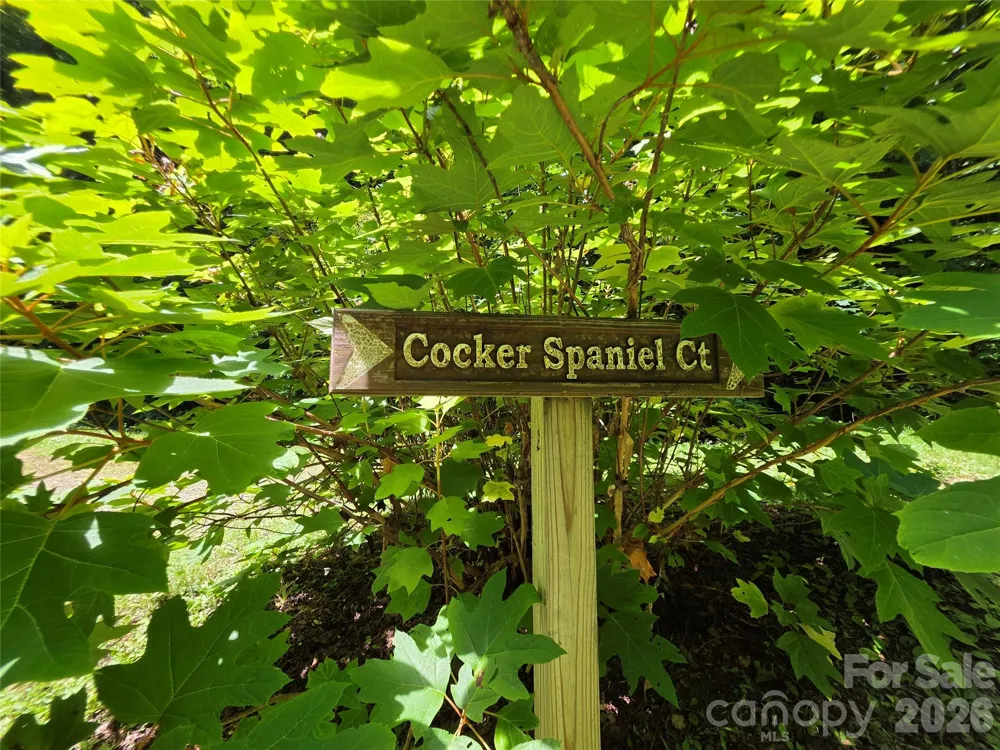 Lot 17 Cocker Spaniel Court #17 Whittier, NC 28789