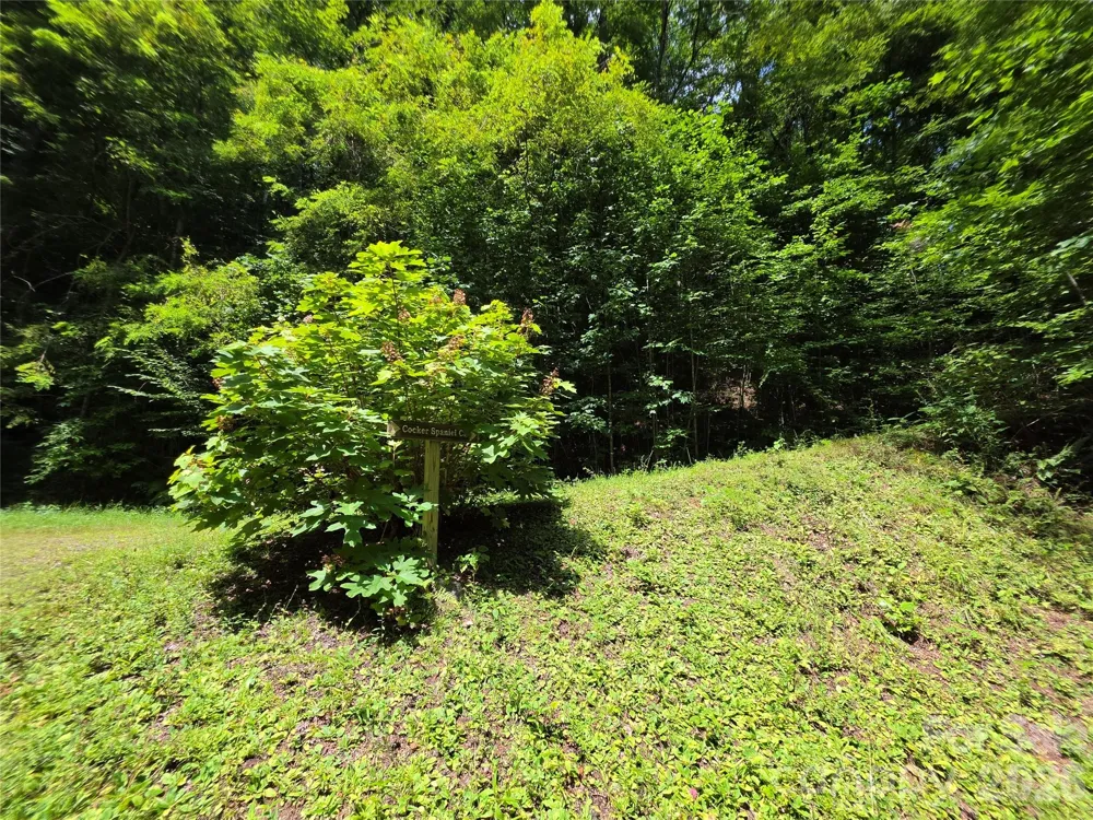 Lot 17 Cocker Spaniel Court #17 Whittier, NC 28789