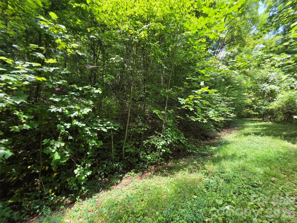 Lot 17 Cocker Spaniel Court #17 Whittier, NC 28789
