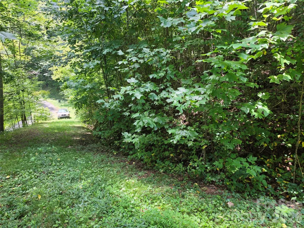 Lot 17 Cocker Spaniel Court #17 Whittier, NC 28789