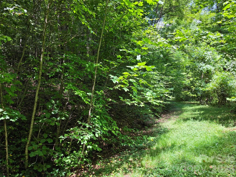 Lot 17 Cocker Spaniel Court #17 Whittier, NC 28789