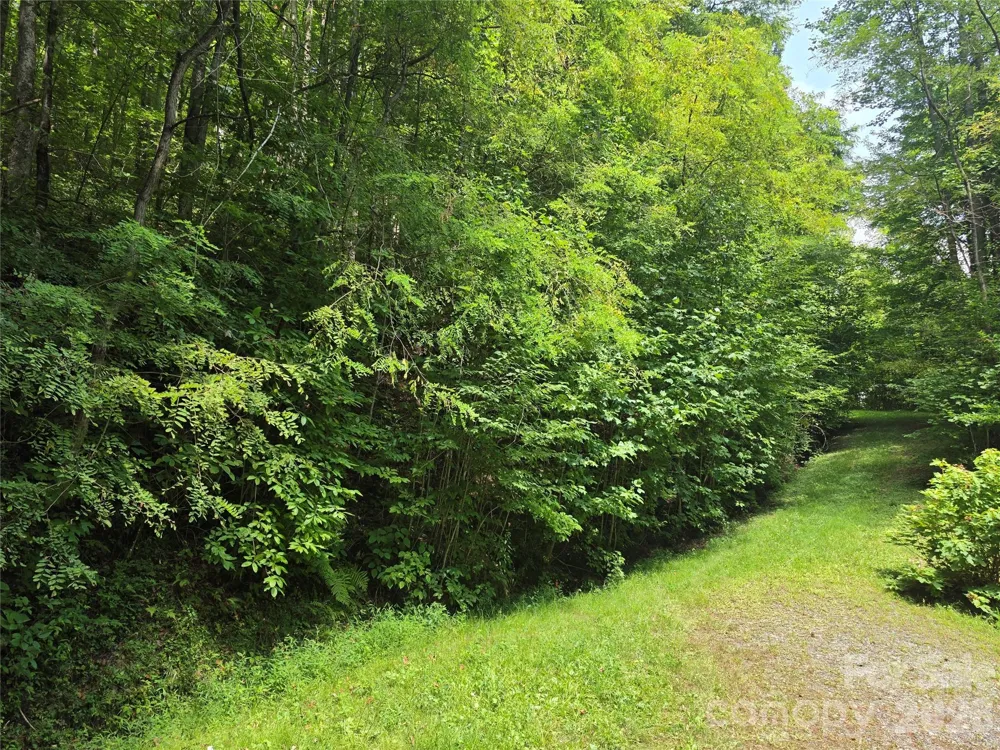 Lot 17 Cocker Spaniel Court #17 Whittier, NC 28789