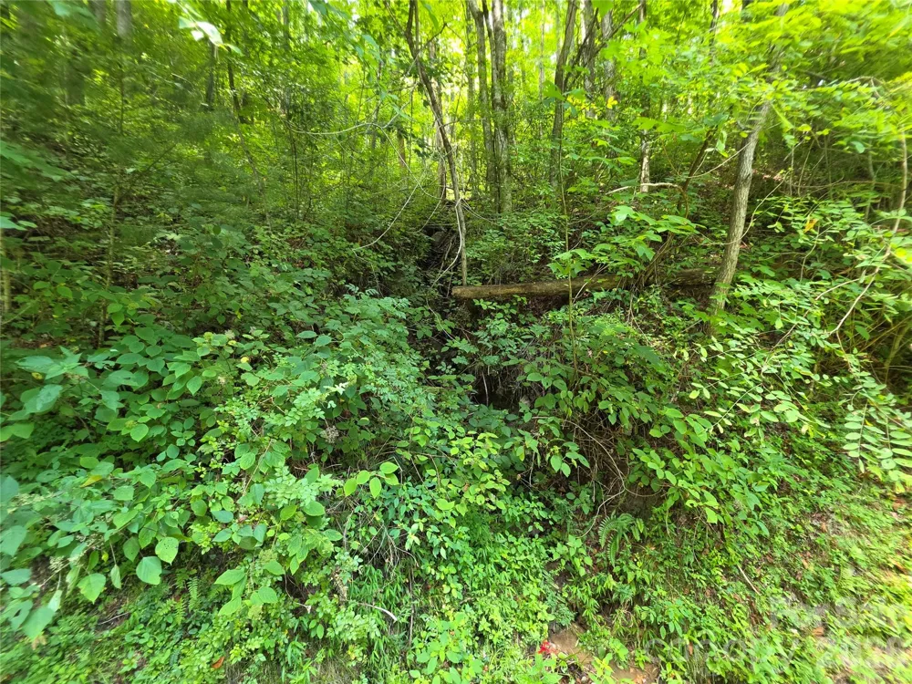 Lot 17 Cocker Spaniel Court #17 Whittier, NC 28789