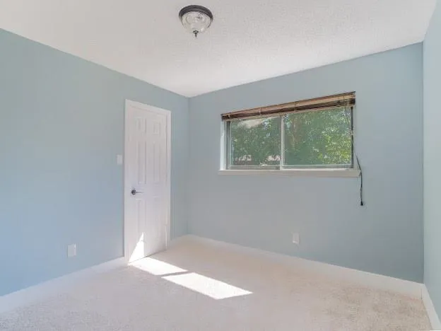 7903 Waxleaf Drive Humble, TX 77338