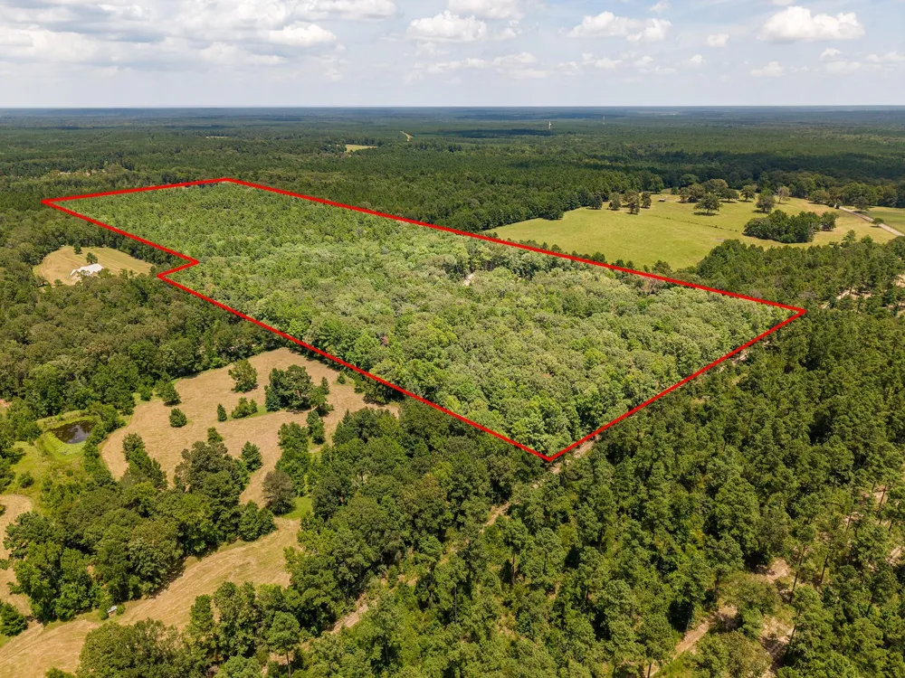 1647 Whitehead Lufkin, TX 75901