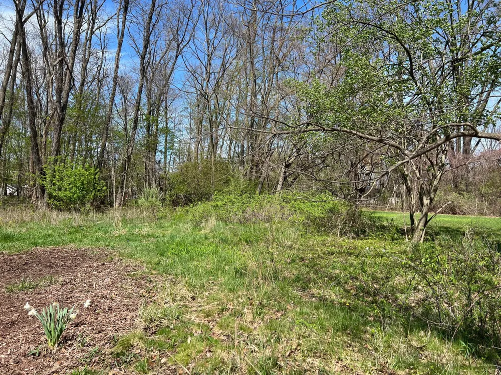 106 W Washington Street New Buffalo, MI 49117