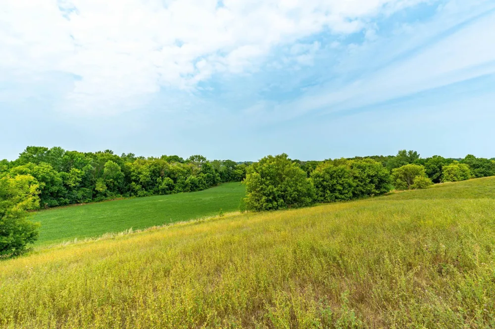 TBD 280th Avenue Underwood, MN 56586