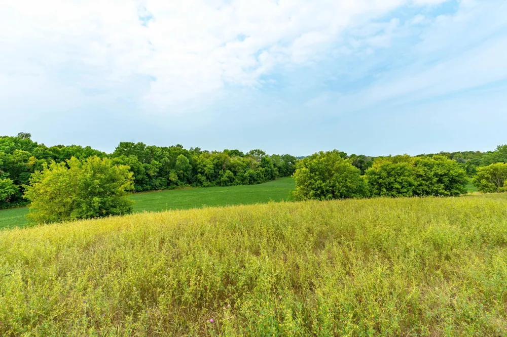 TBD 280th Avenue Underwood, MN 56586