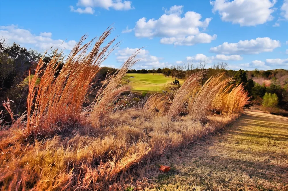 Palisades Drive Gordonville, TX 76245