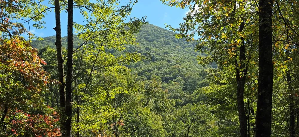 595 Horton Road Murphy, NC 28906