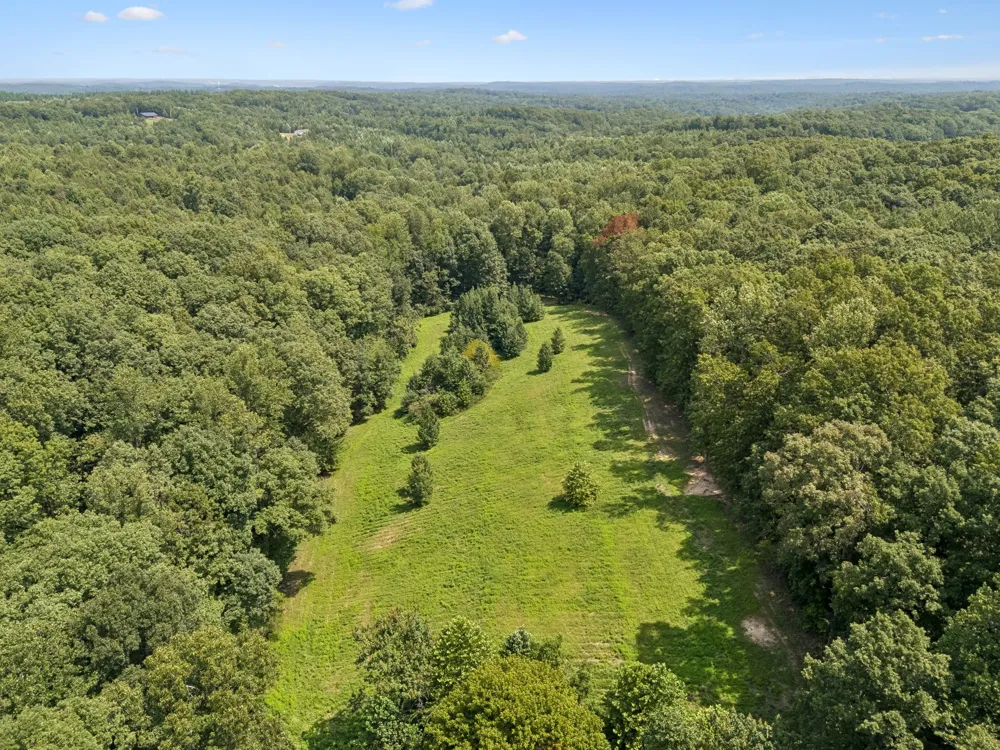 3115 Fire Tower Rd Erin, TN 37061