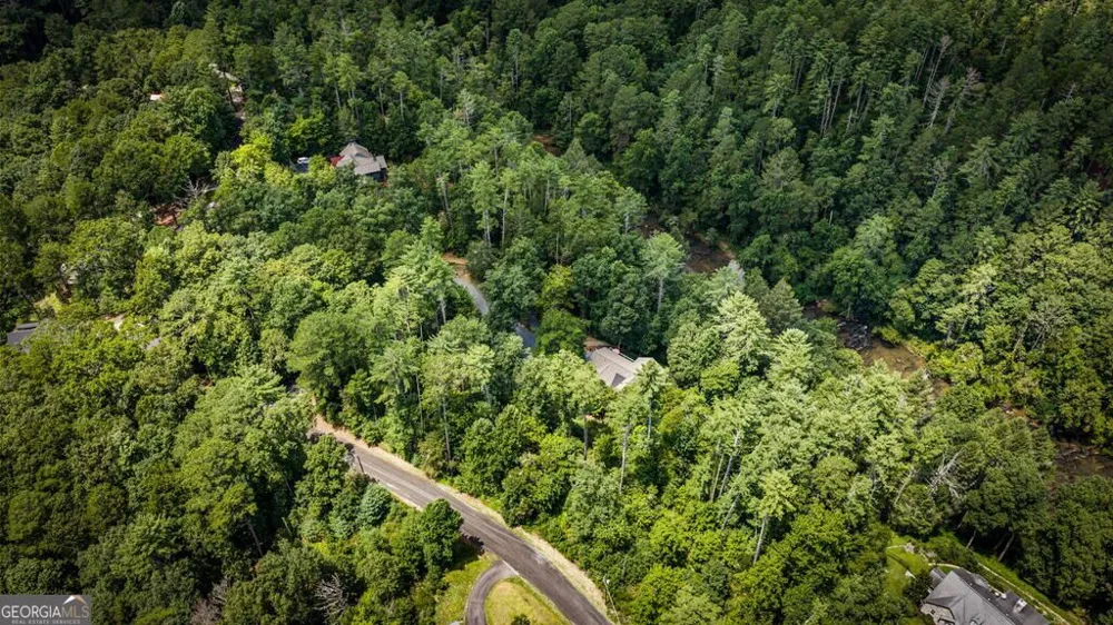 40 Varix CT Ellijay, GA 30540